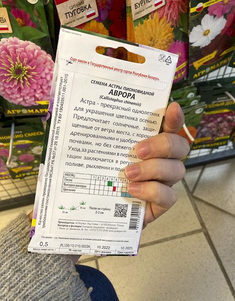 астра пионовидная Аврора